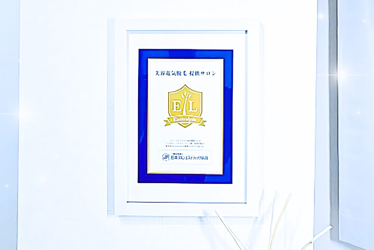 Private electrolysis hair removal salon in Kashiwa, Chiba, just 30 minutes from Tokyo, near Kashiwa Station